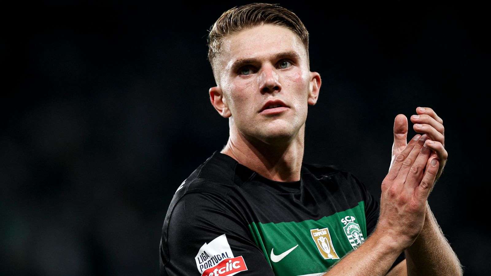 凯恩在寻找 凯恩在寻找